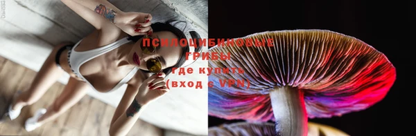 первитин Белокуриха