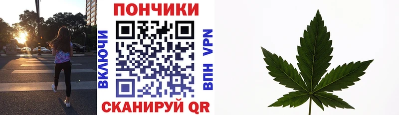 Конопля марихуана Михайловка